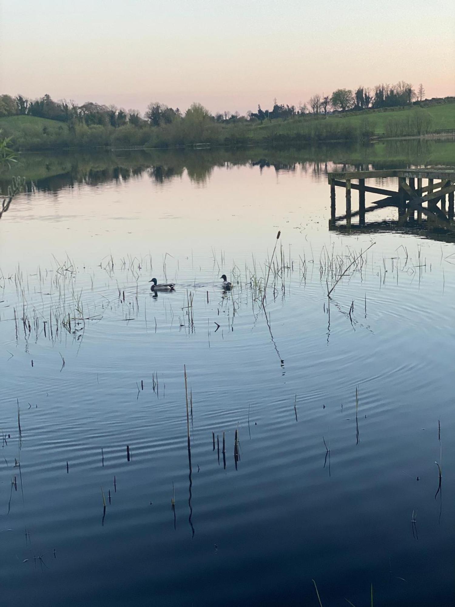 Killyfole Lakeside Lodges Corranny Dış mekan fotoğraf