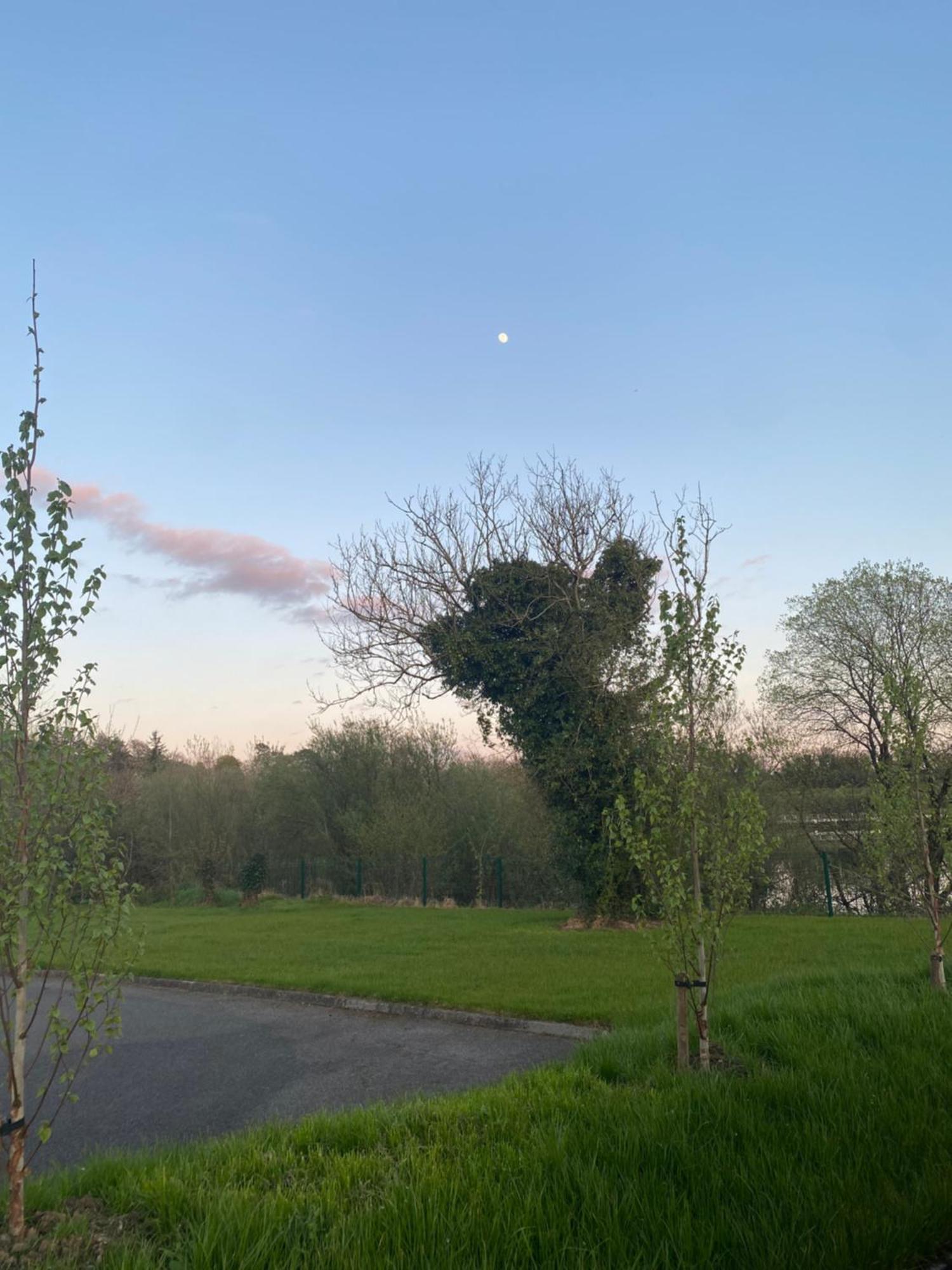 Killyfole Lakeside Lodges Corranny Dış mekan fotoğraf