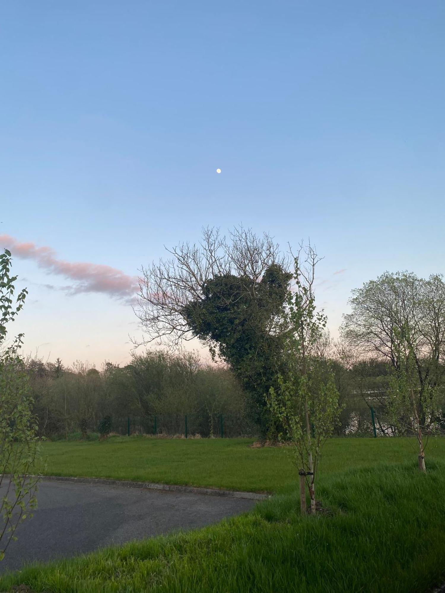 Killyfole Lakeside Lodges Corranny Dış mekan fotoğraf